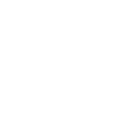 Boiler Controls & Parts